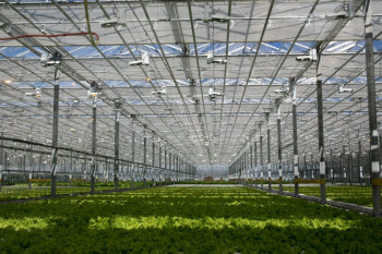 Продажа тепличного комплекса